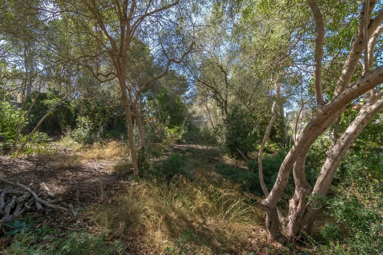 Villa Maria 6 Portals Nous  0*, Portals Nous (Mallorca) Spagna